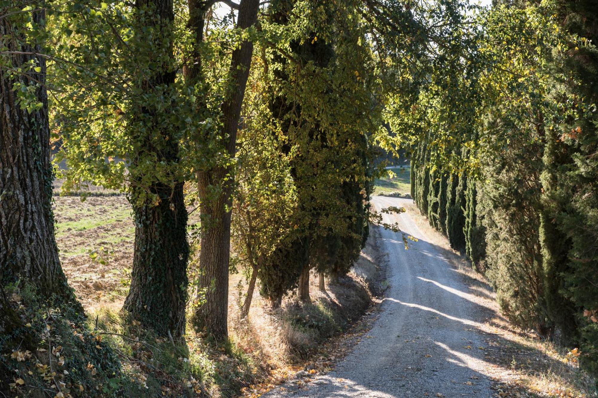Villa Il Giardinello Montalcino Exterior photo